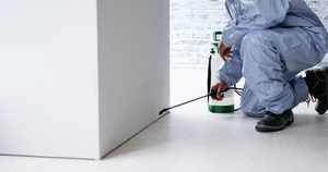 pest control